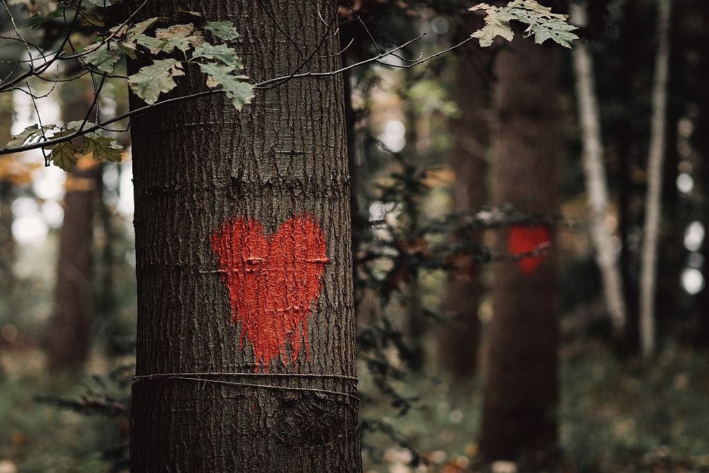 las pamięci czyli pogrzeb w lesie
