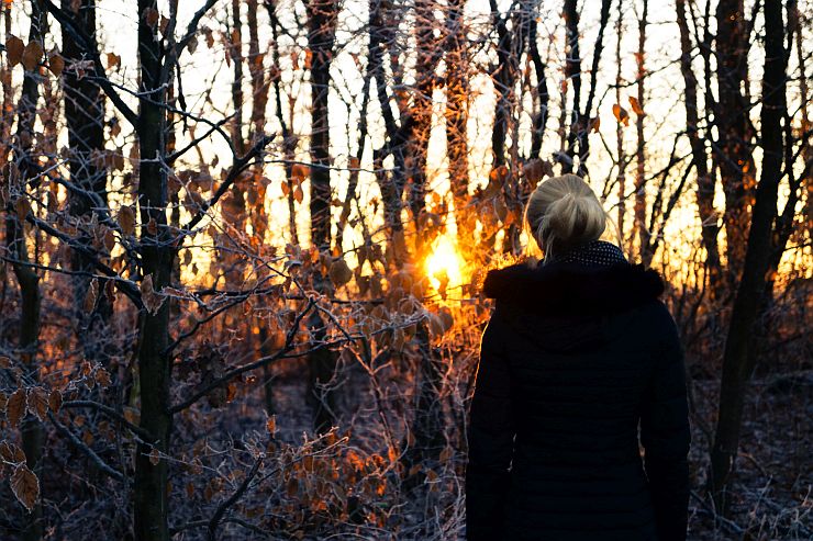 Lasy Pamięci oferują nowoczesne pochówki