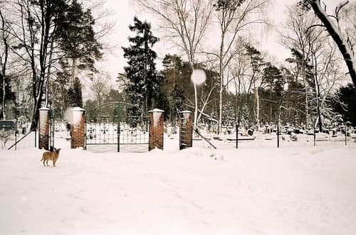 po jakim czasie od pogrzebu stawia się pomnik